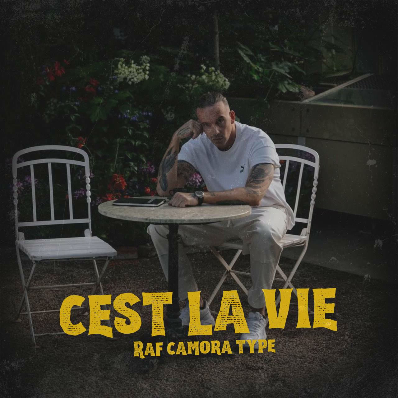 Raf Camora Type beat "C´est la vie"